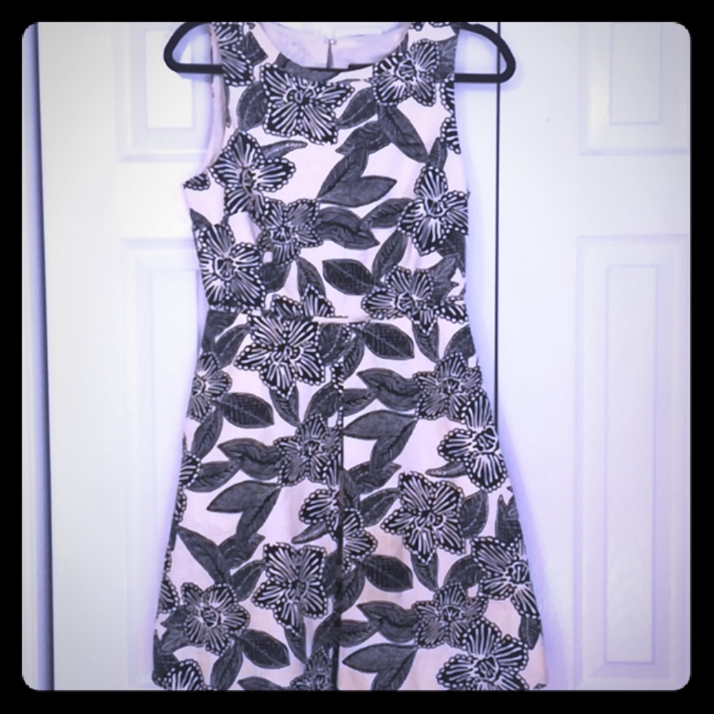 J crew dress